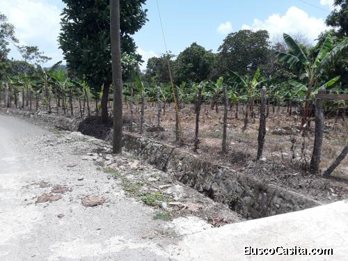 FINCA DE 201 TAREAS DE VENTA EN BONAO