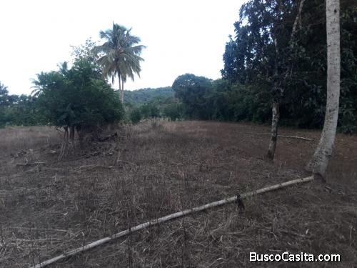 FINCA DE 14 TAREAS DE VENTA EN BONAO