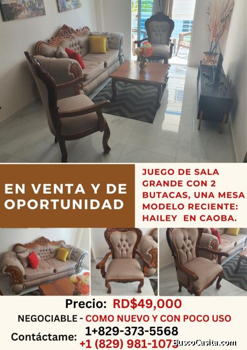 Juego de sala grande con 2 butacas una mesa
