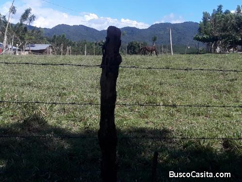 FINCA DE 51 TAREAS DE VENTA EN BONAO