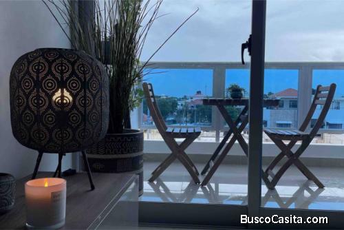  Apartamento En Alquiler Amueblado En Alma Rosa; Idi: 130451