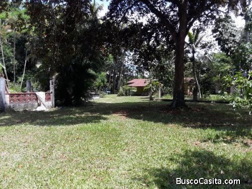 FINCA DE 125 TAREAS DE VENTA EN BONAO