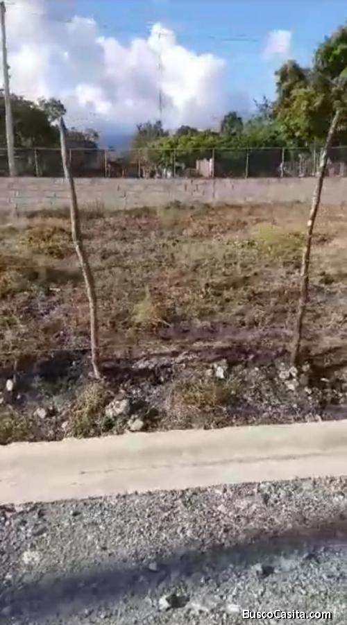 Venta De Solar  En Canca La Reina ,moca ; Idi: 142182