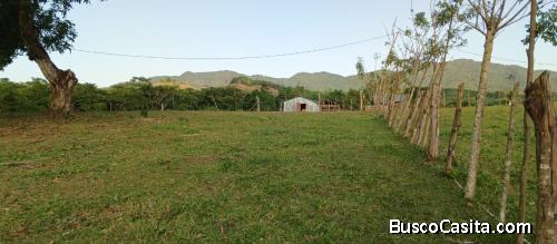 FINCA DE 54 TAREAS DE VENTA EN BONAO