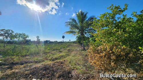 Venta De Terreno En La Lomita ,villa  González; Idi: 142111