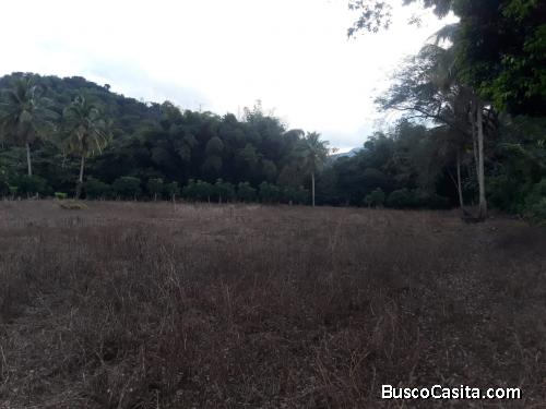 FINCA DE 14 TAREAS DE VENTA EN BONAO