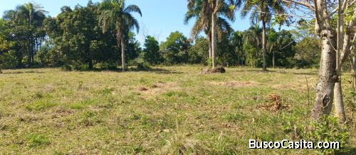 FINCA DE 400 TAREAS DE VENTA EN BONAO
