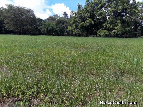 FINCA DE 125 TAREAS DE VENTA EN BONAO