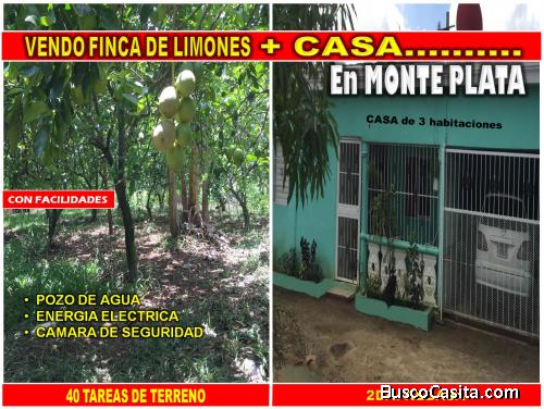 FINCA SEMBRADA DE  LIMONES + CASA  en  MONTE PLATA, 40 TAREAS, CON FACILIDADES Y PRECIO REBAJADO