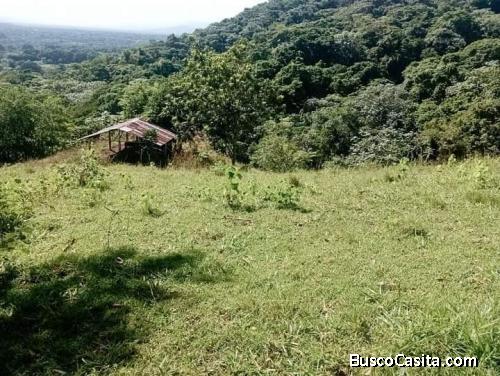 FINCA DE 140 TAREAS DE VENTA EN BONAO