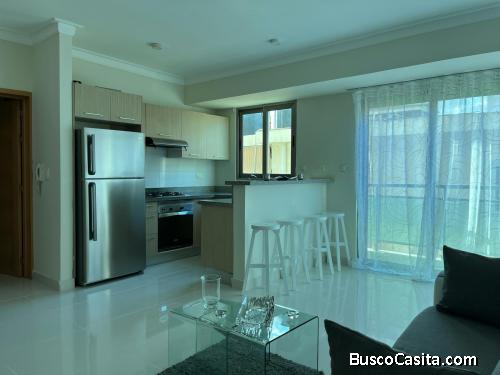 Alquilo Apartamento En Gazcue Amueblado ; Idi: 142546