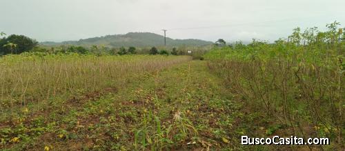 FINCA DE 142 TAREAS DE VENTA EN MAIMON