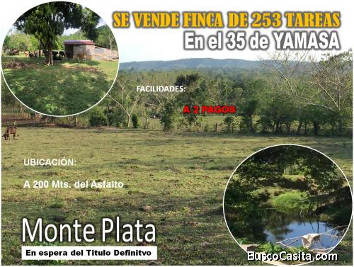 SE VENDE FINCA DE 253 TAREAS EN EL 35 DE YAMASA, PRECIO REBAJADO Y A 200 METROS DEL ASFALTO