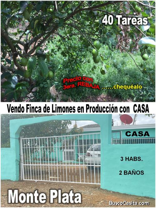 3era. REBAJA EN FINCA DE LIMONES EN MONTE PLATA, 40 TAREAS, CON FACILIDADES…. TENEMOS QUE VENDER