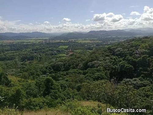 FINCA DE 140 TAREAS DE VENTA EN BONAO