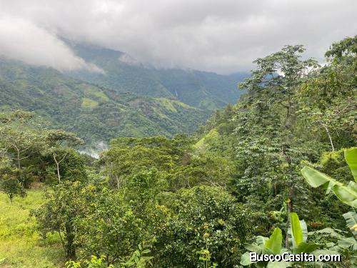 TERRENO DE 10 TAREAS CON HERMOSAS VISTAS DE VENTA EN BONAO