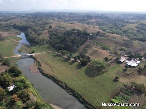 FINCA DE 11,300 TAREAS DE VENTA E HATO MAYOR