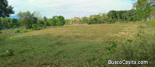 FINCA DE 300 TAREAS DE VENTA EN BONAO