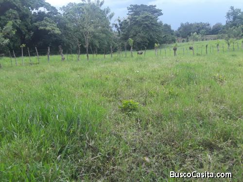 FINCA DE 14 TAREAS DE VENTA EN BONAO
