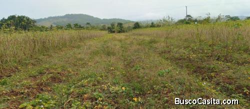 FINCA DE 142 TAREAS DE VENTA EN MAIMON