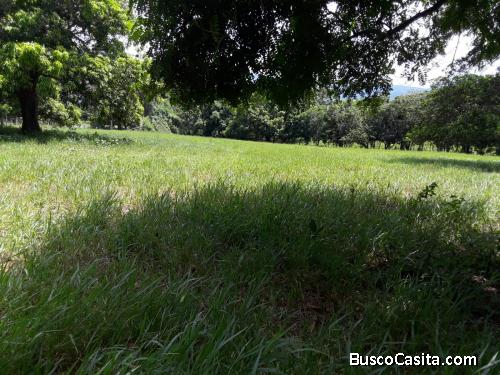 FINCA DE 125 TAREAS DE VENTA EN BONAO