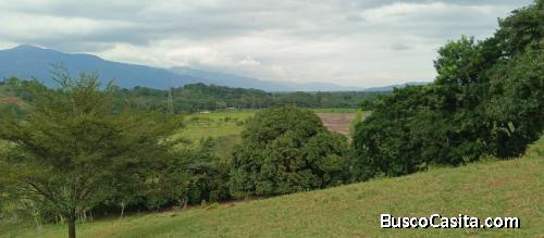FINCA DE 150 TAREAS DE VENTA EN BONAO