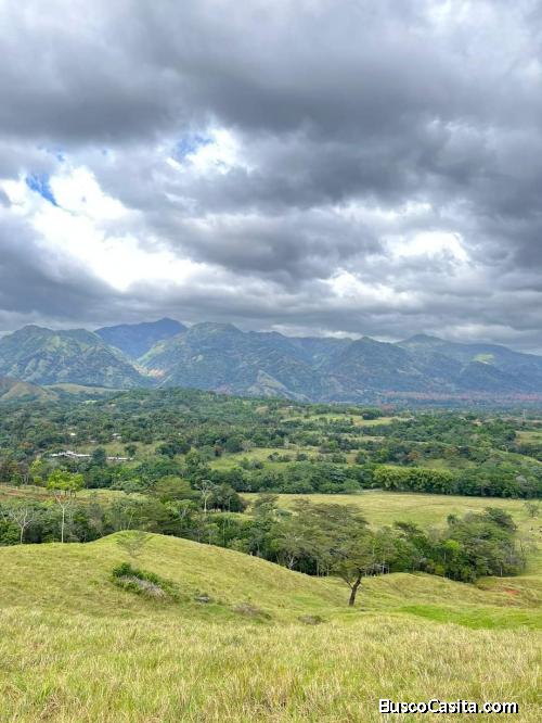 FINCA DE 4,200 TAREAS DE VENTA EN BONAO