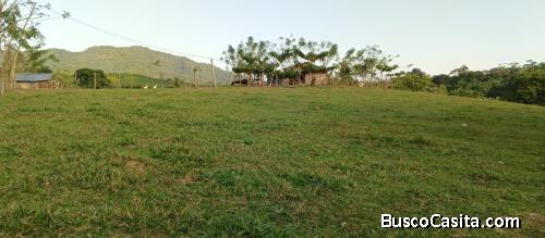 FINCA DE 56 TAREAS DE VENTA EN BONAO