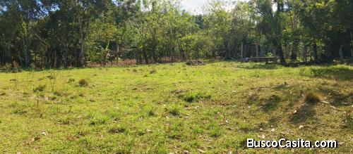 FINCA DE 400 TAREAS DE VENTA EN BONAO