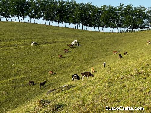 FINCA DE 150 TAREAS DE VENTA EN MOCA
