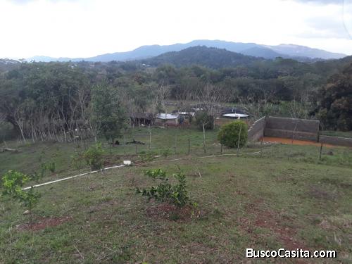 FINCA DE 440 TAREAS DE VENTA EN BONAO