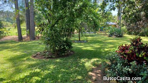 SOLARES DE VENTA EN PROYECTO ECOTURISTICO DE BONAO