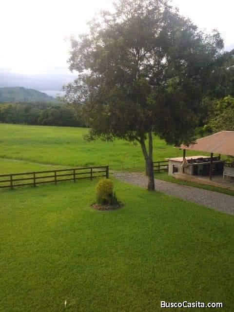 FINCA DE 4,200 TAREAS DE VENTA EN BONAO