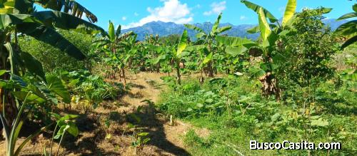 TERRENO DE 9,000 MTR CON CASA DE VENTA EN BONAO