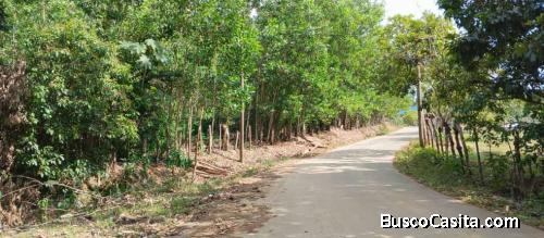 FINCA DE 360 TAREAS DE VENTA EN BONAO