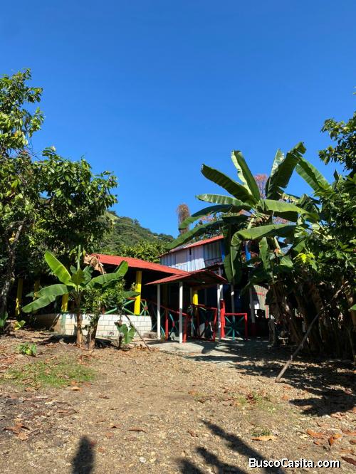 FINCA DE 38 TAREAS CON RIO DE VENTA EN BONAO