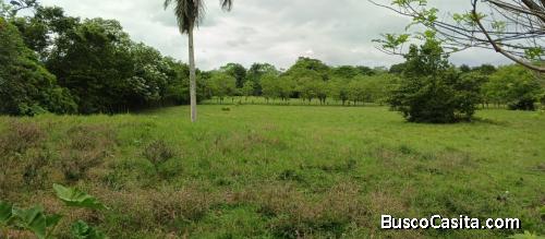 FINCA DE 97 TAREAS DE VENTA EN BONAO