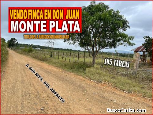 VENDO SUPER FINCA DE 105 TAREAS A 300 Mts. DE LA  CARRETERA EN DON JUAN, MONTE PLATA
