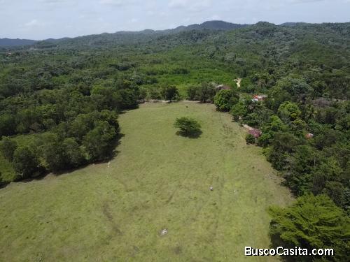 FINCA DE 177 TAREAS DE VENTA EN BONAO