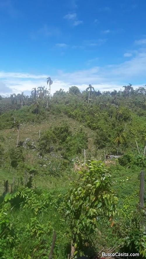 INVIERTE EN EL PARAISO PROPIETARIA VENDE TERRENO DE 7915 METROS EN SAMANA
