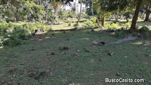 ¡Invierte en el paraíso! Propietaria Vende Terreno de 50.33 tareas en Punta Balandra, Samaná