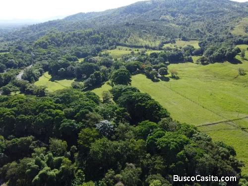 FINCA DE 4,200 TAREAS DE VENTA EN BONAO