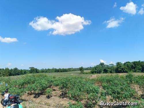 FINCA DE 640 TAREAS DE VENTA EN COTUI