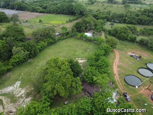 FINCA DE 440 TAREAS DE VENTA EN BONAO