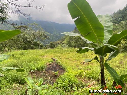 TERRENO DE 10 TAREAS CON HERMOSAS VISTAS DE VENTA EN BONAO