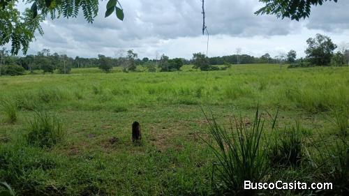 FINCA DE 520 TAREAS DE VENTA EN MONTE PLATA