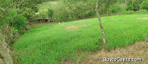 FINCA DE 150 TAREAS DE VENTA EN BONAO