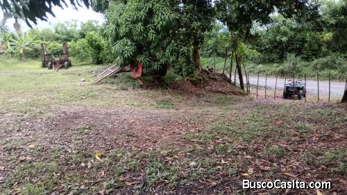 FINCA DE 520 TAREAS DE VENTA EN MONTE PLATA
