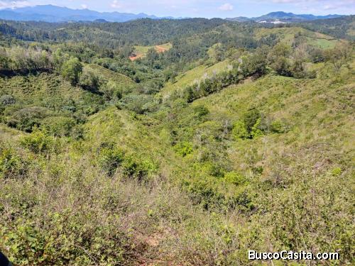 FINCA DE 84 TAREAS DE VENTA EN JARABACOA