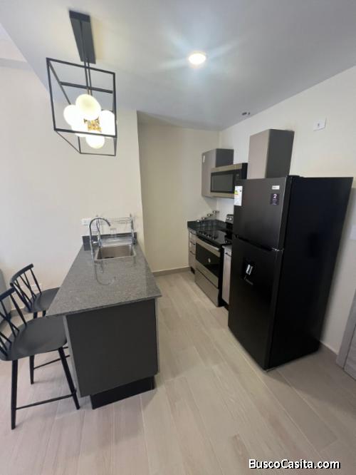 Available for Rent Furnished Suites in Panorama Lake, Vista Cana